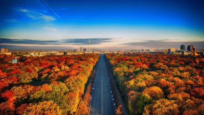 城市风景