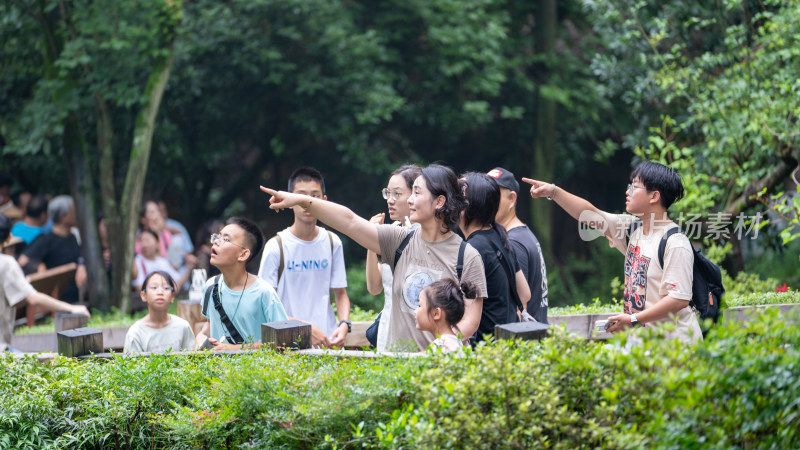 暑假成都大熊猫繁育研究基地迎来八方游客