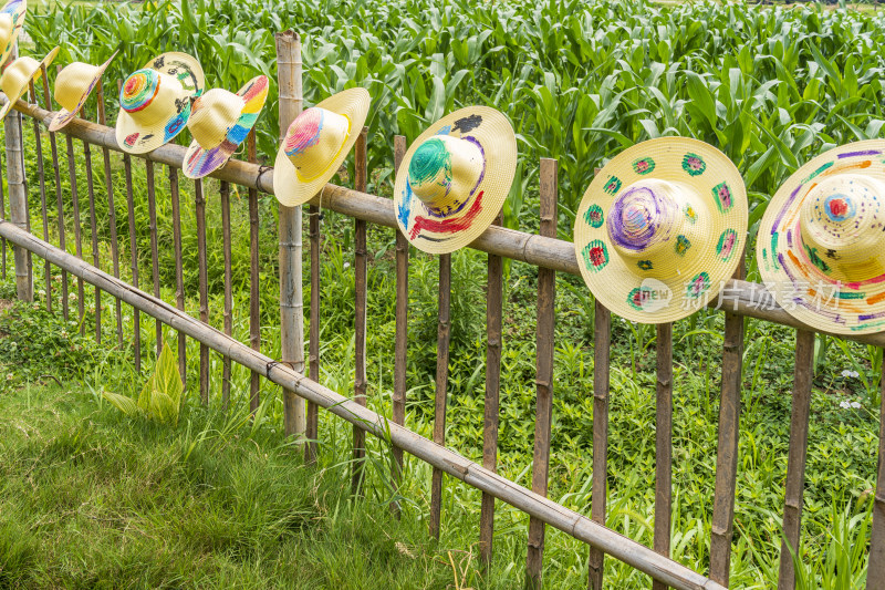 夏日农场里一排排儿童们手绘五颜六色的草帽