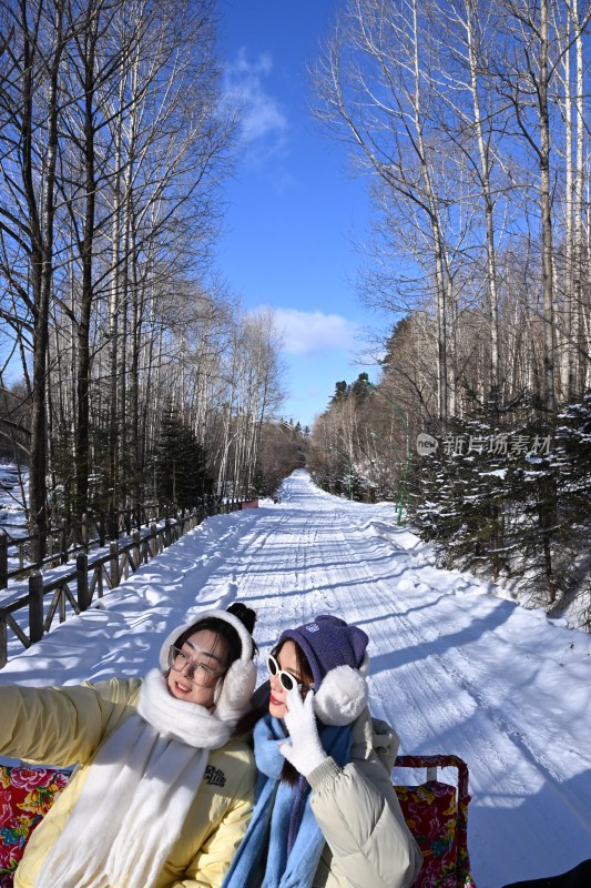 两位女士在雪地林间小路上乘坐雪橇