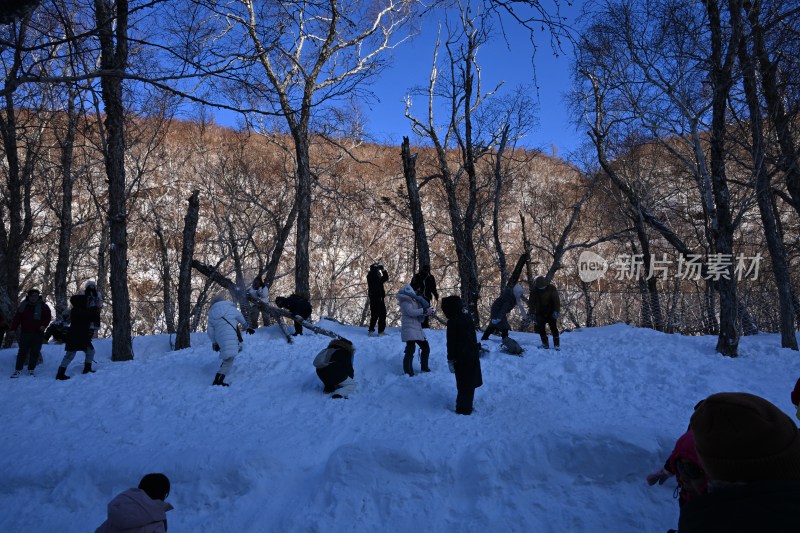 户外雪地中人们在活动嬉戏