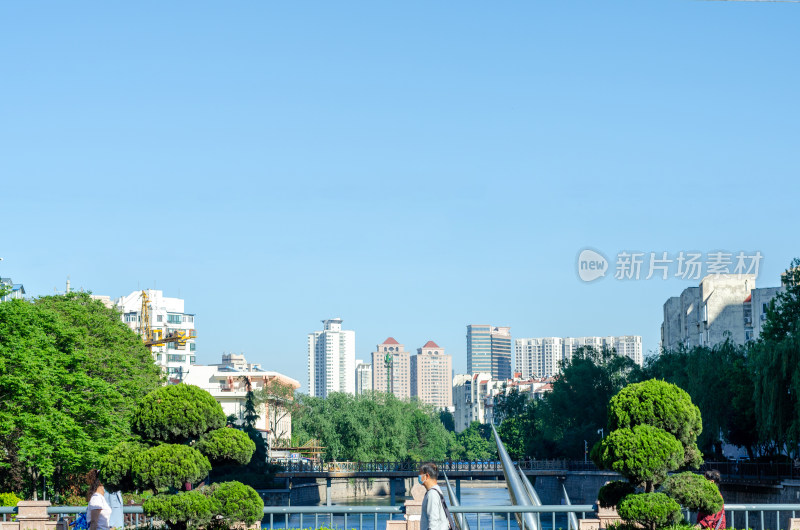 青岛海泊河城市河畔绿树与高楼景观