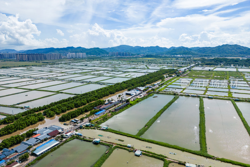 广东省中山市南朗街道崖口村的耕地和养殖场