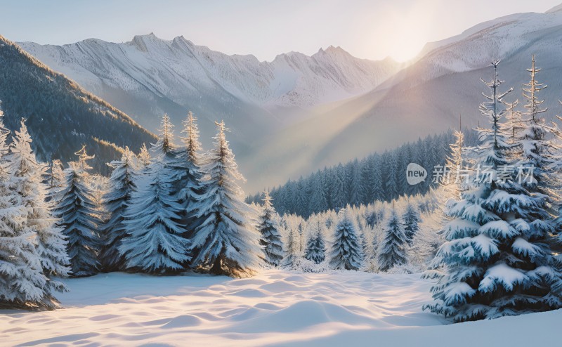 冬季森林白雪覆盖风景