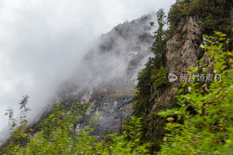 秋天树林云雾山峰