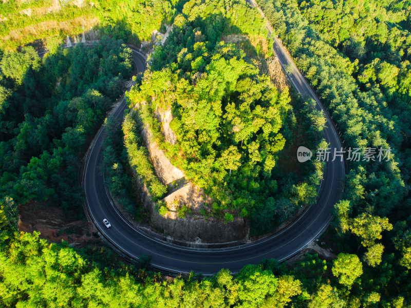 蜿蜒公路穿越茂盛丛林的鸟瞰图