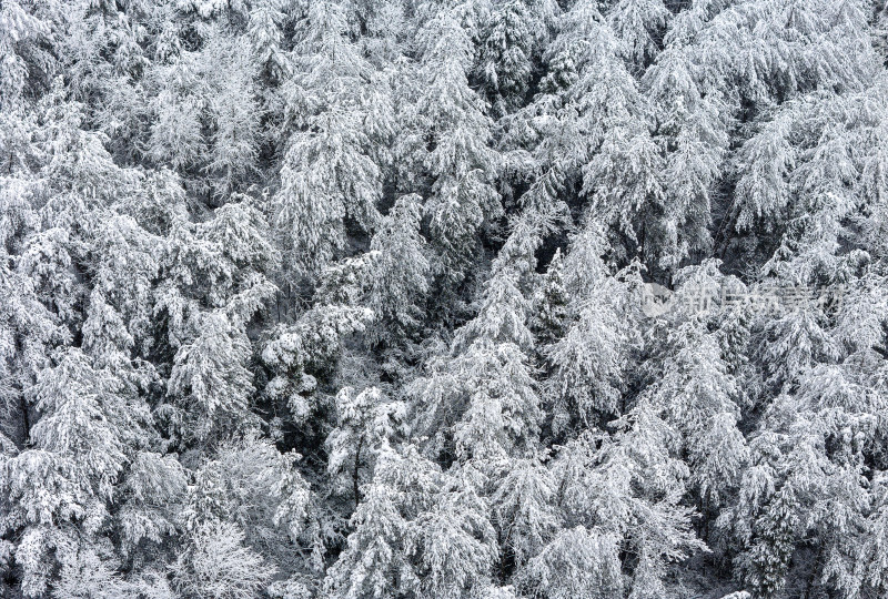 贵州黔东南大峡谷大雪冬季雪景风光银装素裹