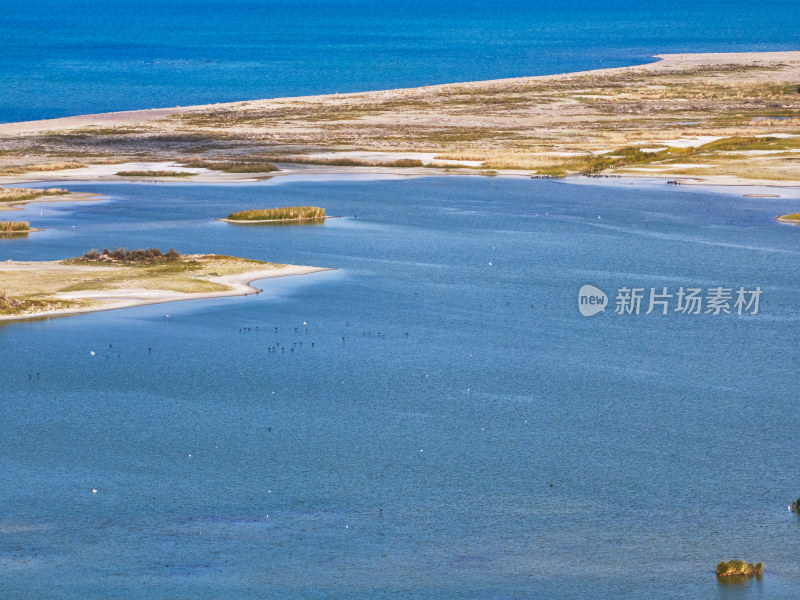 新疆乌伦古湖候鸟湿地保护区