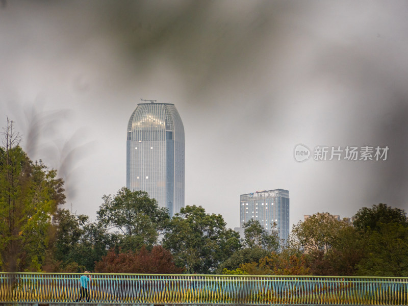 城市中的树木和建筑物顶着天空