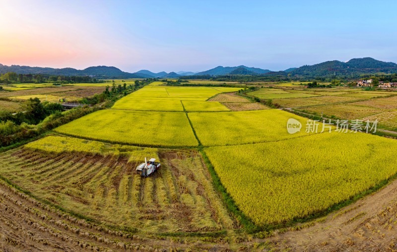 江西金溪：水稻晚稻丰收收割忙