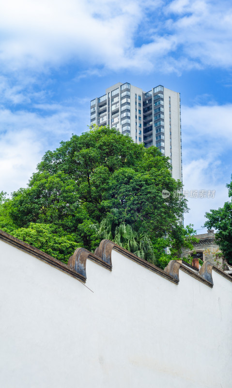 夏日福州上下杭景区外的城市高楼