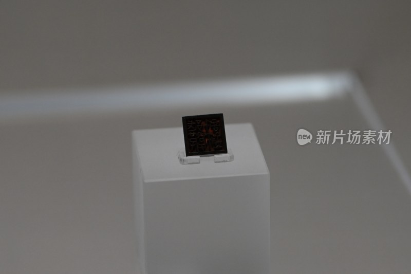 展示台上的芯片特写