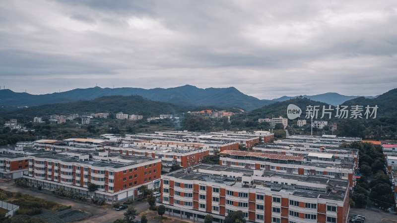 仰恩大学