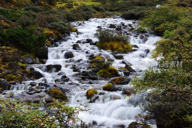 西藏噶玛沟山水自然风景