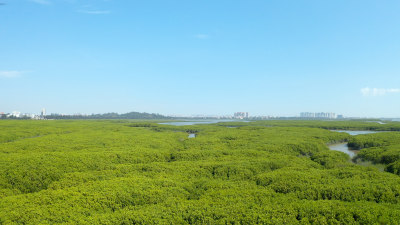 泉州洛阳桥航拍万安桥河流溪流渔船生态湿地