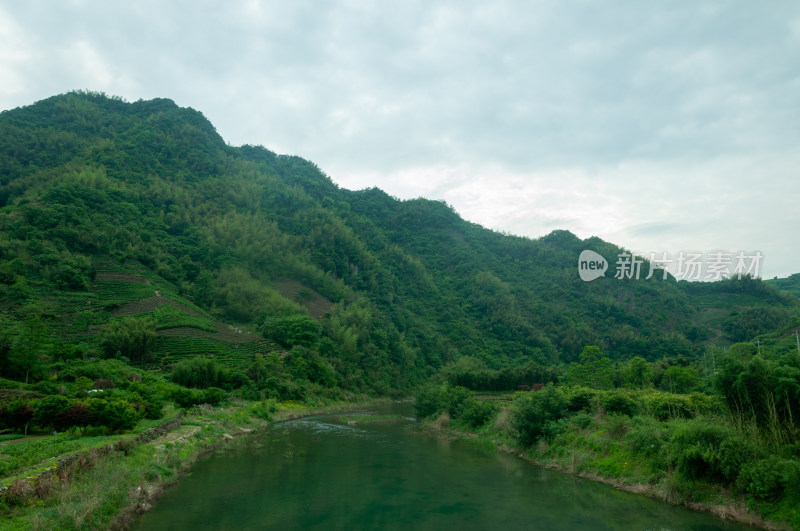 山中的自然风景