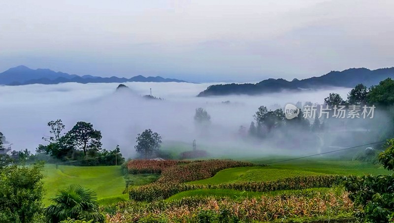 重庆酉阳：丁市初秋风景（一）