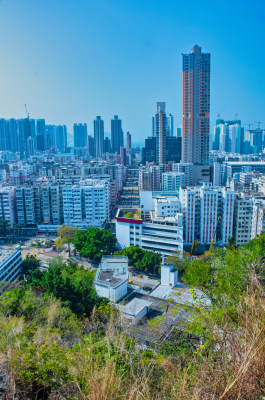 香港深水埗嘉顿山顶看城市高楼建筑群