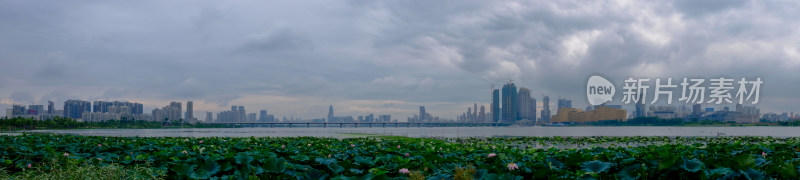 武汉沙湖大桥全景