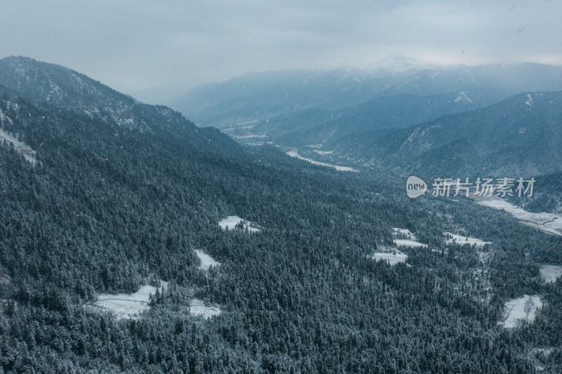 航拍大雪纷飞的鲁朗林海