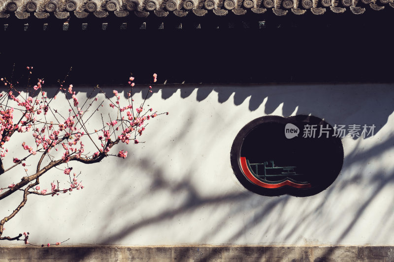 北海公园的春天赏花
