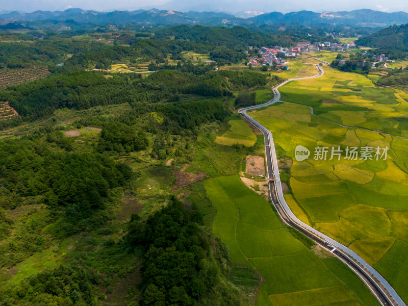 山川丘陵农田金黄水稻美丽乡村航拍