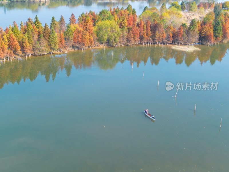 福州多彩树林沿水域分布的自然风景航拍