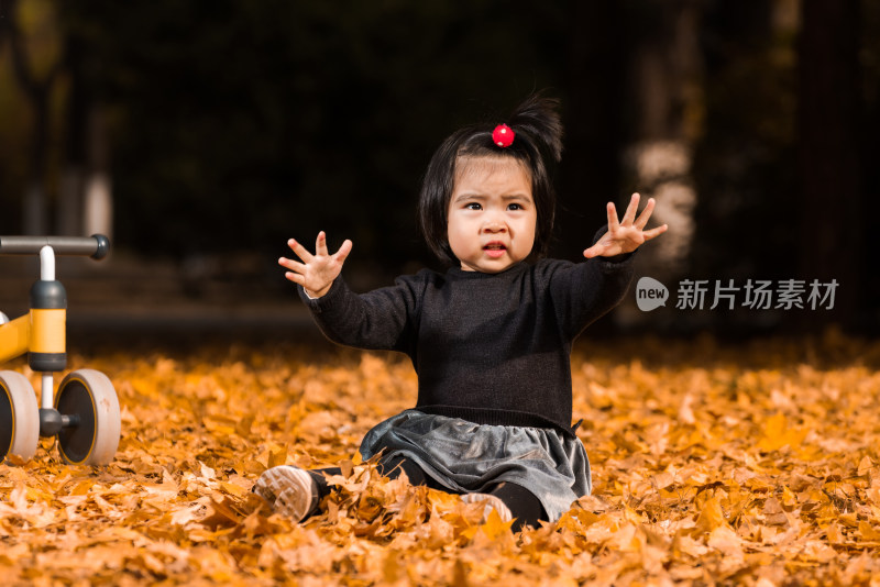 深秋坐在公园落满黄叶的草地上玩耍的女孩