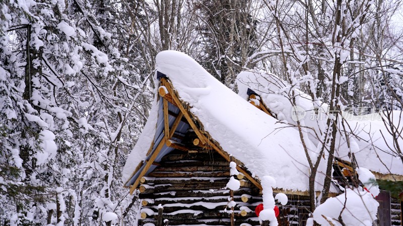 林海雪原