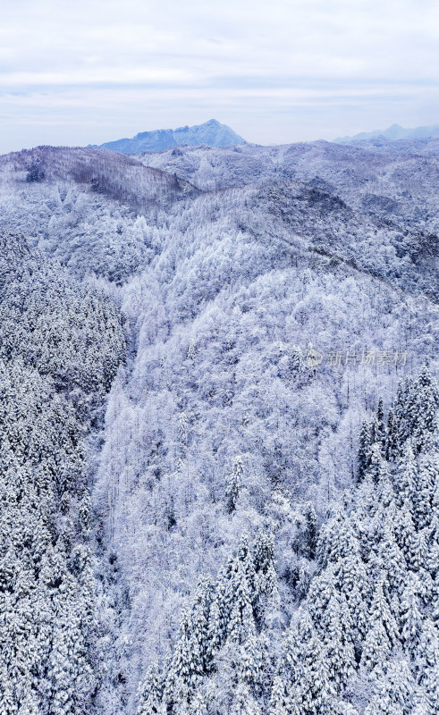 山王坪冬季雪景