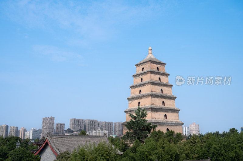 陕西西安晴朗天气的大慈恩寺大雁塔