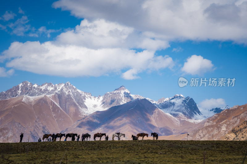 雪山脚下骑马旅行的游客