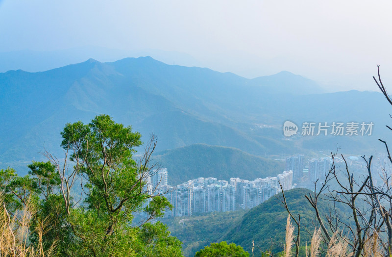 深圳梧桐山顶俯瞰城市住宅建筑