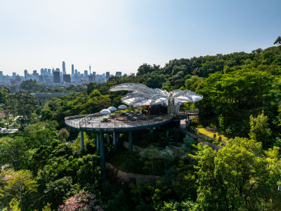 广州云萝植物园实景高空航拍照片