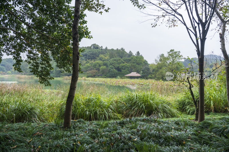 杭州三台山乌龟潭风景