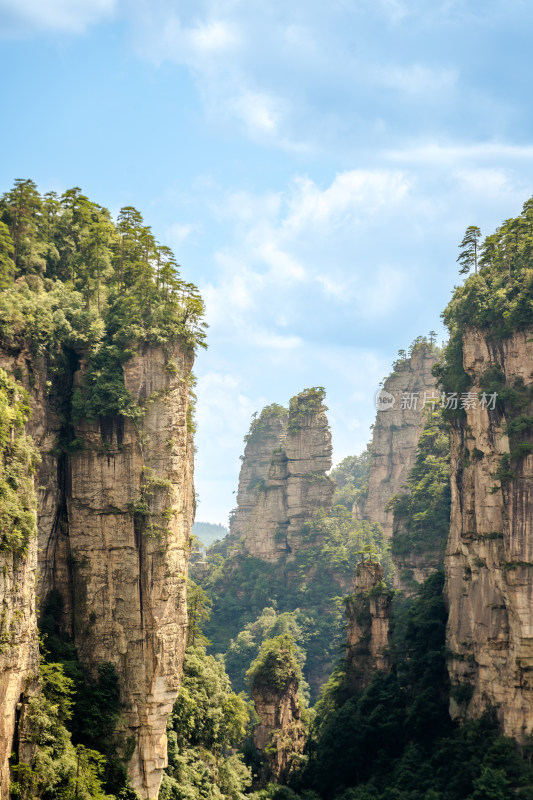 中国湖南张家界景区奇特山峰与茂密森林