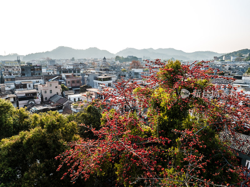 中国广东省广州市番禺区市桥沙湾古镇