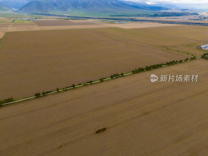 青海源门农业种植航拍图