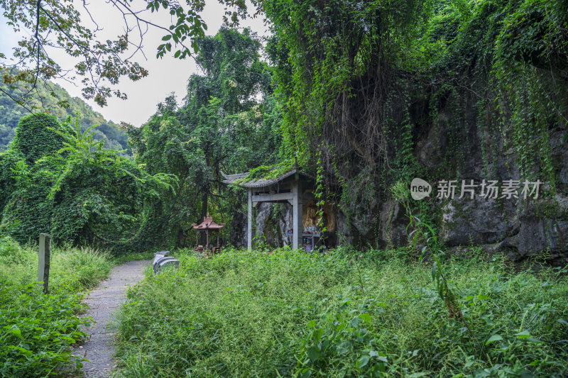 杭州凤凰山景区凤凰池风景