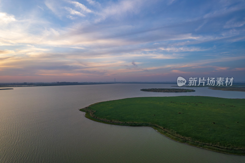 天津团泊湖稻田日落自然风光