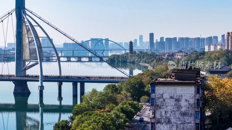 城市桥梁与高楼风景