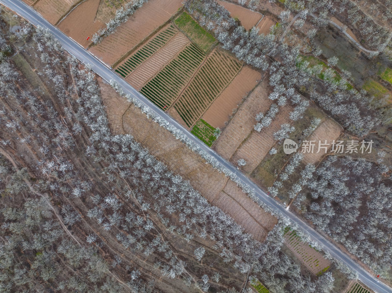 四川阿坝州金川梨花藏寨雪山高空航拍