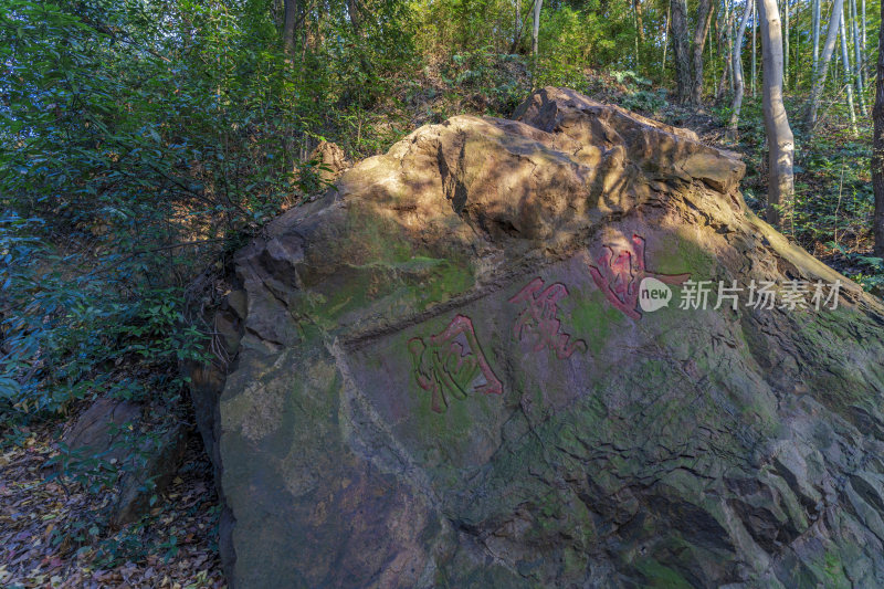 杭州栖霞岭黄龙洞景点风景