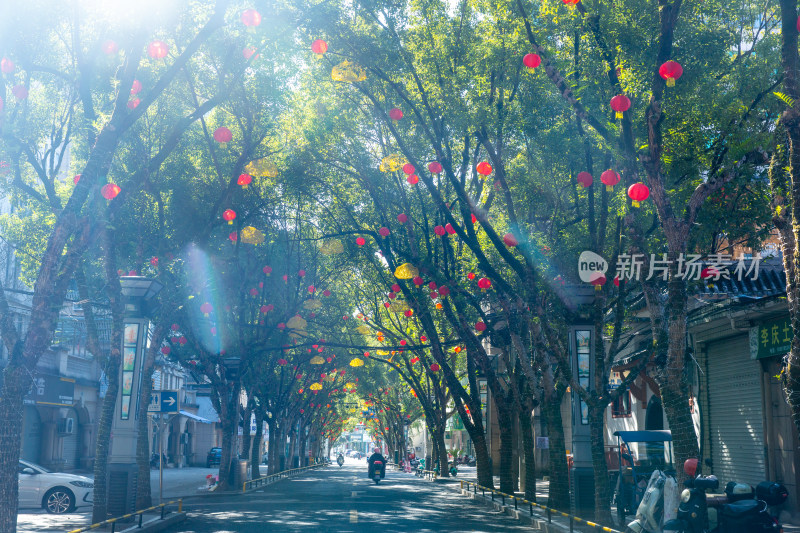 云和县城挂满彩灯的街道树木与街边店铺景象