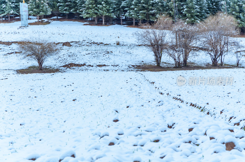 青海海北藏族自治州祁连卓尔山乡村雪景