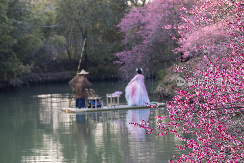 江南古风女子泛舟赏梅