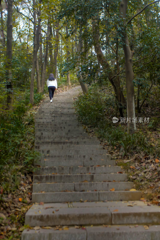 户外风景