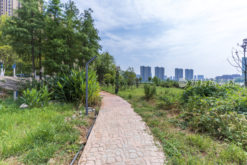 武汉江夏区汤逊湖壹号湿地公园风景