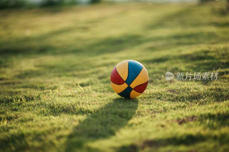 阳光下草坪上的球