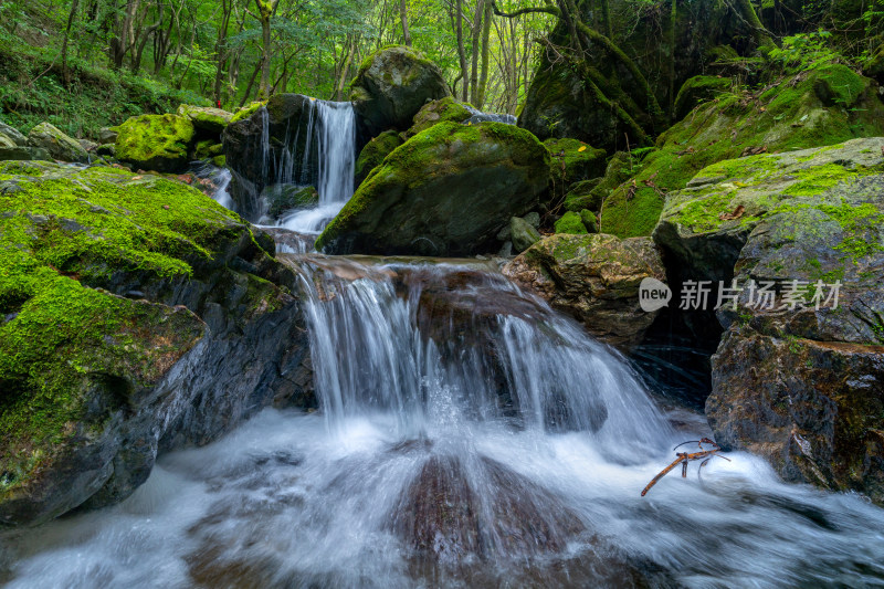 树林间流动小溪